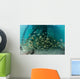 School Grunt Fish beneath Wall Decal Design 1