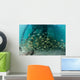 School Grunt Fish beneath Wall Decal Design 1