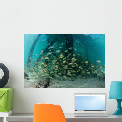 School Grunt Fish beneath Wall Decal Design 1 shown on a wall
