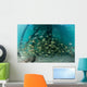School Grunt Fish beneath Wall Decal Design 1