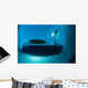 Sunlight Silhouettes Boat and Wall Decal