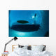 Sunlight Silhouettes Boat and Wall Decal