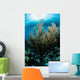 Sunlight Shines down Gorgonian Wall Decal