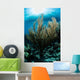 Sunlight Shines down Gorgonian Wall Decal