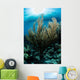 Sunlight Shines down Gorgonian Wall Decal