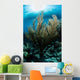 Sunlight Shines down Gorgonian Wall Decal