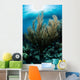 Sunlight Shines down Gorgonian Wall Decal