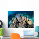 Colorful Set Gorgonians Diverse Wall Decal Design 17