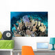 Colorful Set Gorgonians Diverse Wall Decal Design 17