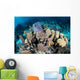 Colorful Set Gorgonians Diverse Wall Decal Design 17