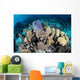 Colorful Set Gorgonians Diverse Wall Decal Design 17