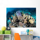 Colorful Set Gorgonians Diverse Wall Decal Design 17