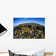 Fire Corals Grow along Wall Decal Design 2