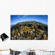 Fire Corals Grow along Wall Decal Design 2