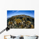 Fire Corals Grow along Wall Decal Design 2