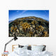 Fire Corals Grow along Wall Decal Design 2