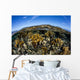 Fire Corals Grow along Wall Decal Design 2