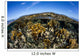 Fire Corals Grow along Wall Decal Design 2