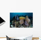 Colorful Set Gorgonians Diverse Wall Decal Design 16
