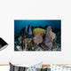 Colorful Set Gorgonians Diverse Wall Decal Design 16
