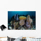 Colorful Set Gorgonians Diverse Wall Decal Design 16