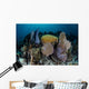 Colorful Set Gorgonians Diverse Wall Decal Design 16