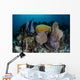 Colorful Set Gorgonians Diverse Wall Decal Design 16