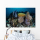 Colorful Set Gorgonians Diverse Wall Decal Design 16