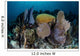Colorful Set Gorgonians Diverse Wall Decal Design 16
