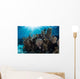 Colorful Set Gorgonians Diverse Wall Decal Design 15