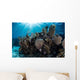 Colorful Set Gorgonians Diverse Wall Decal Design 15