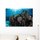 Colorful Set Gorgonians Diverse Wall Decal Design 15