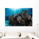 Colorful Set Gorgonians Diverse Wall Decal Design 15