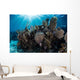 Colorful Set Gorgonians Diverse Wall Decal Design 15