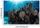 Colorful Set Gorgonians Diverse Wall Decal Design 15