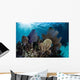 Colorful Set Gorgonians Diverse Wall Decal Design 14