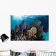 Colorful Set Gorgonians Diverse Wall Decal Design 14