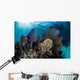 Colorful Set Gorgonians Diverse Wall Decal Design 14