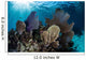 Colorful Set Gorgonians Diverse Wall Decal Design 14