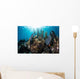 Colorful Set Gorgonians Diverse Wall Decal Design 13