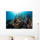 Colorful Set Gorgonians Diverse Wall Decal Design 13