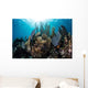 Colorful Set Gorgonians Diverse Wall Decal Design 13