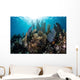 Colorful Set Gorgonians Diverse Wall Decal Design 13