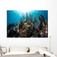 Colorful Set Gorgonians Diverse Wall Decal Design 13