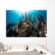 Colorful Set Gorgonians Diverse Wall Decal Design 13