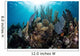Colorful Set Gorgonians Diverse Wall Decal Design 13