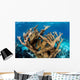 Elkhorn Coral Grows Healthy Wall Decal Design 2