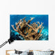 Elkhorn Coral Grows Healthy Wall Decal Design 2