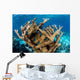 Elkhorn Coral Grows Healthy Wall Decal Design 2