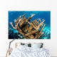 Elkhorn Coral Grows Healthy Wall Decal Design 2